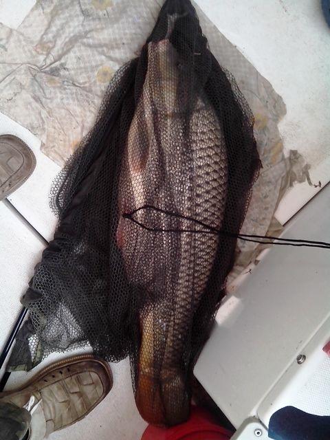 Sulina sept. 2013 - part. I - img20130919072335.jpg